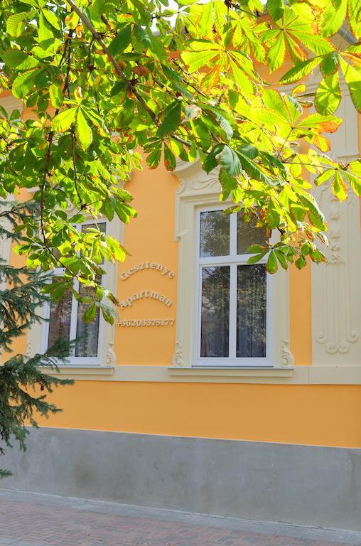 Gesztenye Apartman Makó Exterior foto